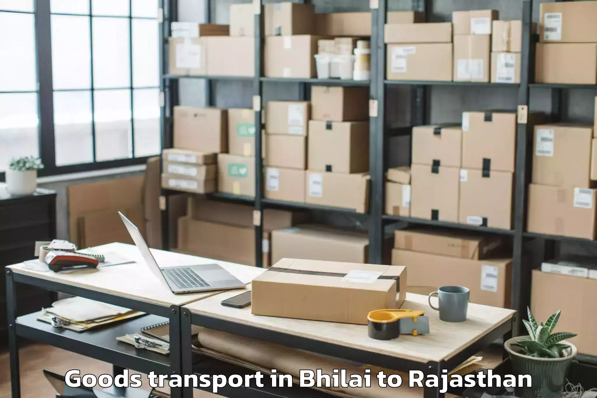 Top Bhilai to Sunrise University Alwar Goods Transport Available